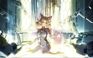 炉石传说黄金赛多久举办一次 炉石传说黄金赛