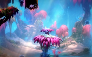 洛克王国御风术怎么学学不了 洛克王国御风术怎么学