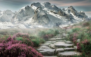 阴阳师bug在哪里反馈 阴阳师bug