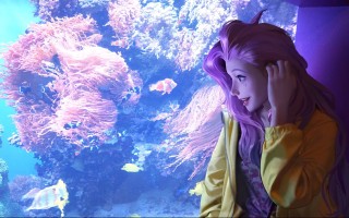 峡谷新城活动领不了 峡谷新程活动微信领不了